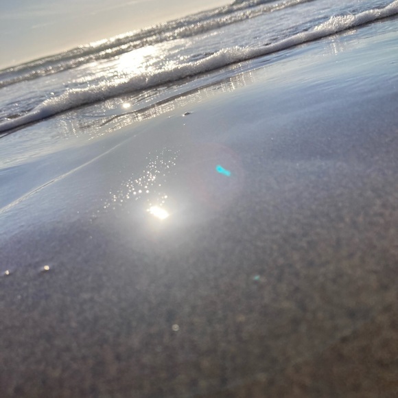 Meet your Posher, Bella - Picture 4 of 7